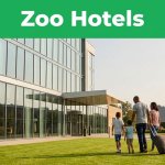 Best Hotels Near Birmingham Zoo for Family Trips in 2026
