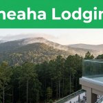 Best Hotels Near Cheaha State Park for a Smooth Mountain Stay