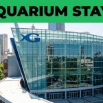 Best Hotels Near Georgia Aquarium in Atlanta