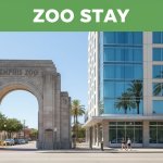 Best Hotels Near Memphis Zoo for a Smooth Memphis Stay