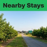 Best Jemison AL Hotels: Top Nearby Stays in Chilton County
