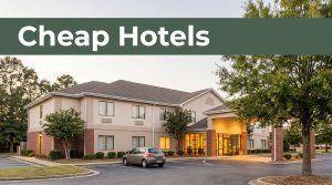 Roadside hotel with a compact car, glowing lobby, trees, and a dark-green banner reading “Cheap Hotels.”