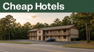 A small roadside motel with a parked car, pine trees, and a green Cheap Hotels banner.