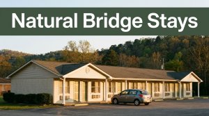 A warmly lit roadside motel with a compact car and wooded hills behind it.