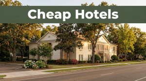 A warmly lit hotel exterior with trees and a dark-green Cheap Hotels banner.