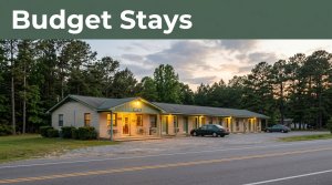 A roadside motel entrance beside a car, pine trees, and a quiet highway.
