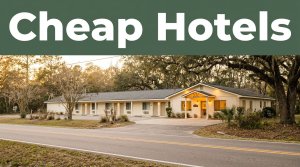 A clean budget motel glowing warmly during golden hour near rural oak trees.