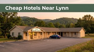 Finding Cheap Hotels Near Lynn Winston County Alabama