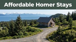 A cozy cabin overlooks Homer, evergreen hills, Kachemak Bay, and a winding road.