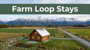 A cozy cabin beside farmland with snowy mountains and a gravel road.