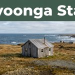 cheap hotels Savoonga