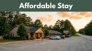 A roadside motel with parked cars, pine trees, and a highway in Alabama.