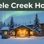 Snowy roadside hotel entrance with warm windows, a parked car, spruce trees, and faint northern lights.