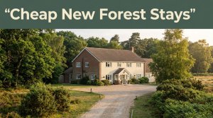 A welcoming country inn beside woodland, with a green headline banner across the top.