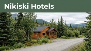 A cozy cabin lodge beside a road in a spruce forest with mountains behind it.