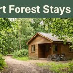 A small forest cabin beside a path with two bicycles and a headline banner.