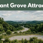 A winding road through green Alabama scenery with Birmingham’s skyline in the distance.