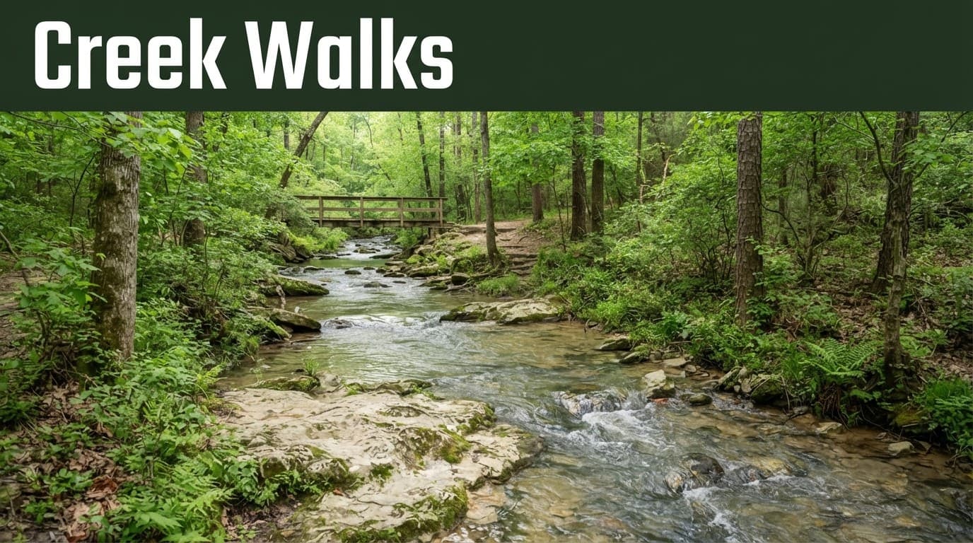 A rocky forest creek flows toward a distant footbridge beneath a green Creek Walks banner.